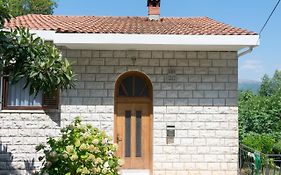 Vila Ruza